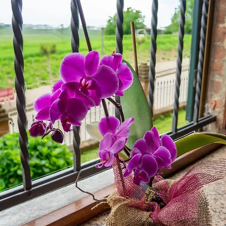 Il Respiro Del Borgo 3*