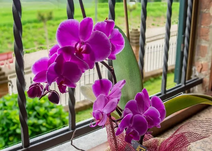 Il Respiro Del Borgo 3*